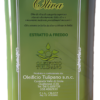 Latta da 5 litri di olio extravergine di oliva Oleificio Tulipano estratto a freddo, vista frontale su sfondo bianco.