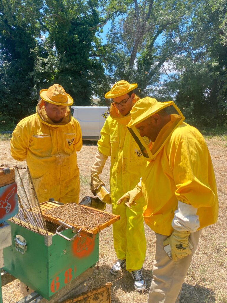 Lezione pratica di apicoltura con tre persone in tuta protettiva attorno a un’arnia aperta