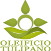 Logo Oleificio Tulipano in verde con goccia d'olio stilizzata, foglie e scritta "Oleificio Tulipano" su sfondo trasparente.