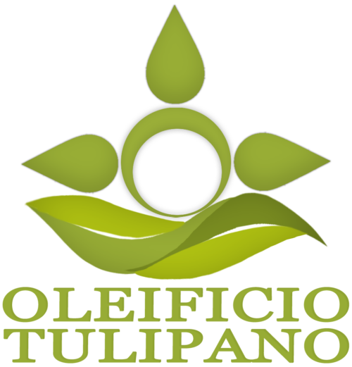 Logo Oleificio Tulipano in verde con goccia d'olio stilizzata, foglie e scritta "Oleificio Tulipano" su sfondo trasparente.